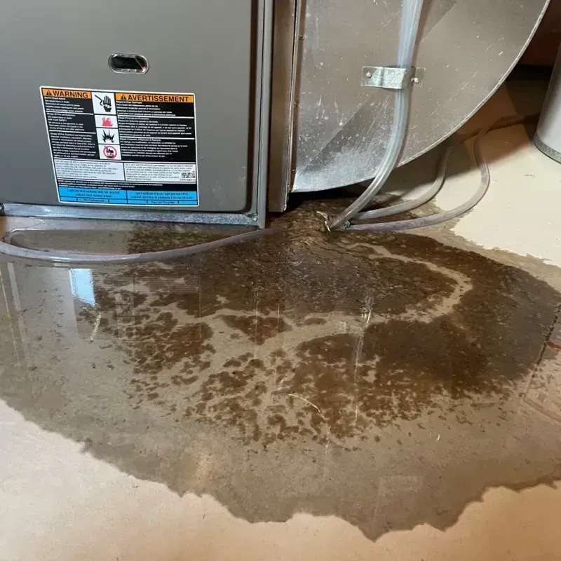 Appliance Leak Cleanup in Lee County, AR